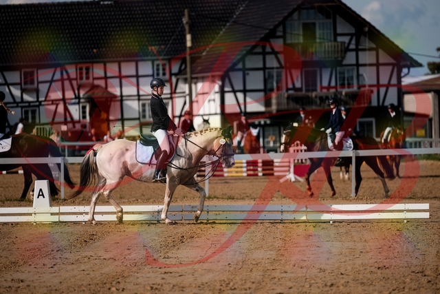 2026_10_03_Siefer-Hof_114744_Z63_27034959 | Professionelle Reitsport-, Turnier- und Eventfotografie von Robert Broda. Galerien mit ausgewählten und bearbeiteten Bildern direkt online ansehen und bestellen.