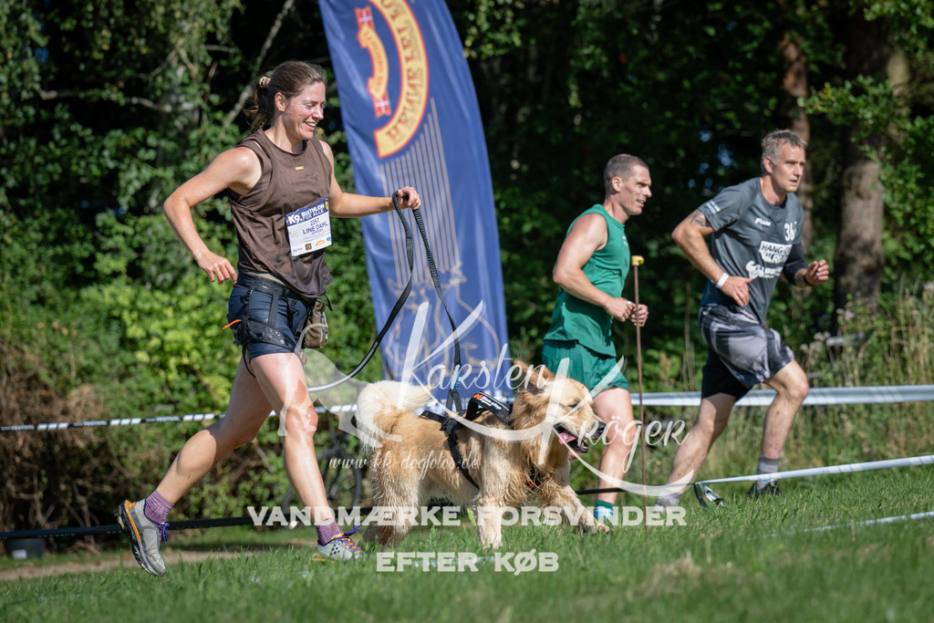 1017_ZZ98095 | kk-dogfotos