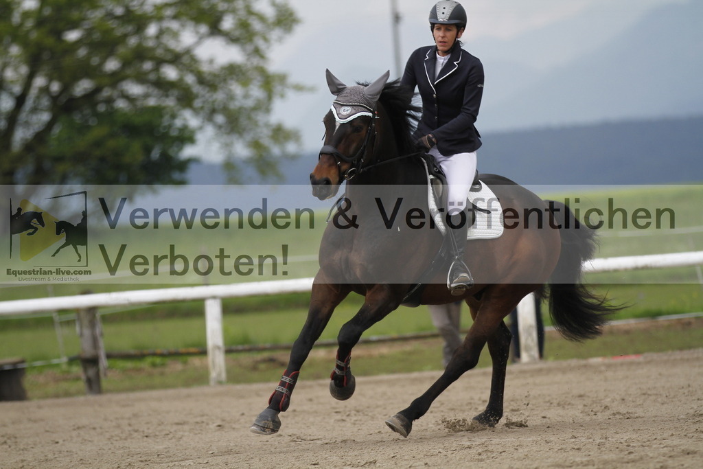 _MG_7978 | equestrian-live-com