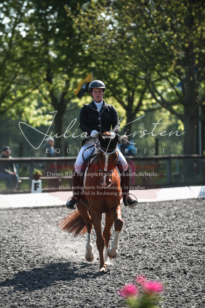 DSC_8734 | Pferde- und Turnierfotografie in Westsachsen. Pferdeportraits, Auftragszeichnungen und intuitive Kunst.