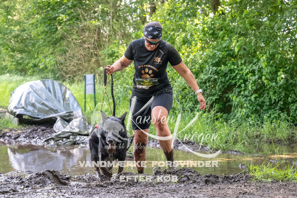 1230_ZZ92594 | kk-dogfotos