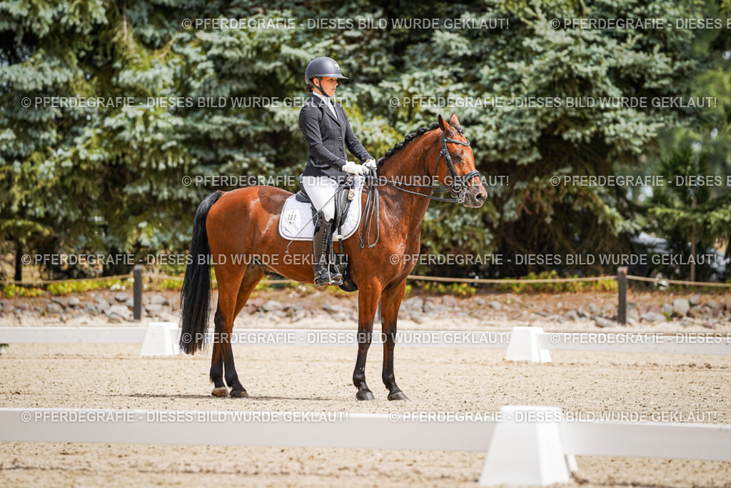 DSC03659 | Pferdegrafie