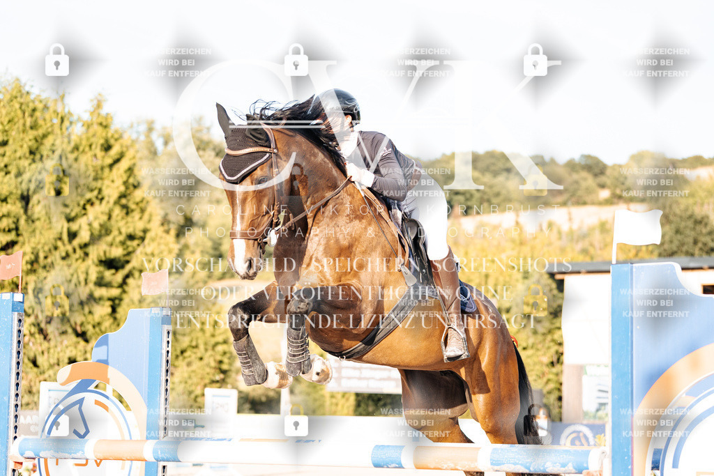 CK903532 | Turnierfotografie Pferdefotografie Trier Rheinland-Pfalz Pferdesport Reitsport Tierfotografie Sportfotografie Pferdevideo Pferdevideografie Equestrianvideography equestrianphotography  - Realisiert mit Pictrs.com