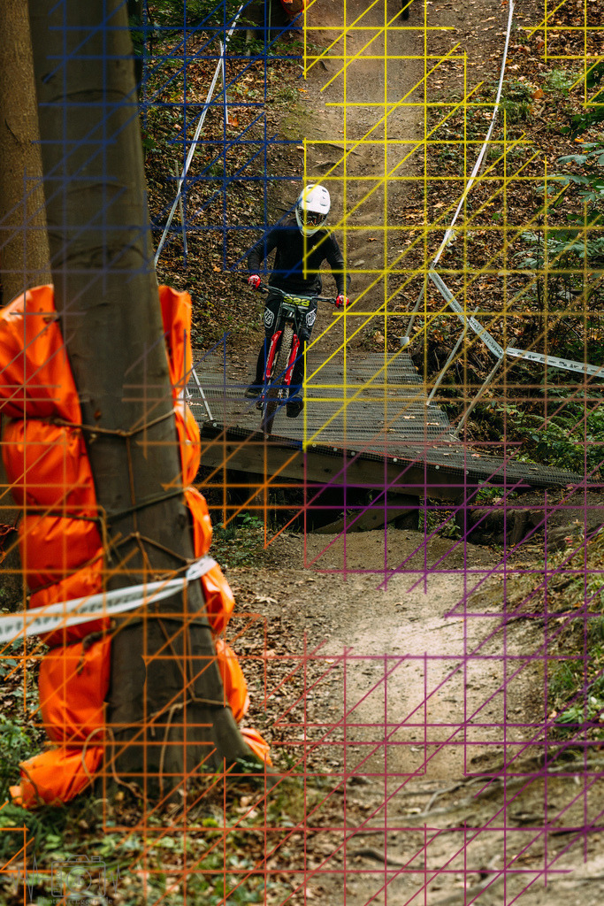 PAE-0521 | Einzigartige Fotokunst für dein Zuhause: Entdecke hochwertige Wandbilder, edle Prints und emotionale Motive von Wildlife, Natur und Landschaften - Realisiert mit Pictrs.com