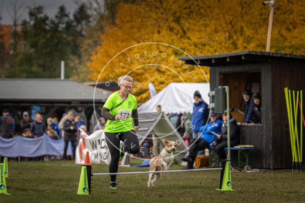 Pfotenfotografie_DV3A5558 | Hundefotografie, Tierfotograf, Pfotenfotografie, Fotoshooting Hund, Hunde Portrait, Hundesport, Hundeportraits, Heideshooting, Hunde, Sportfotograf, Hundefotograf, Turnierhundsport, THS,  - Realisiert mit Pictrs.com