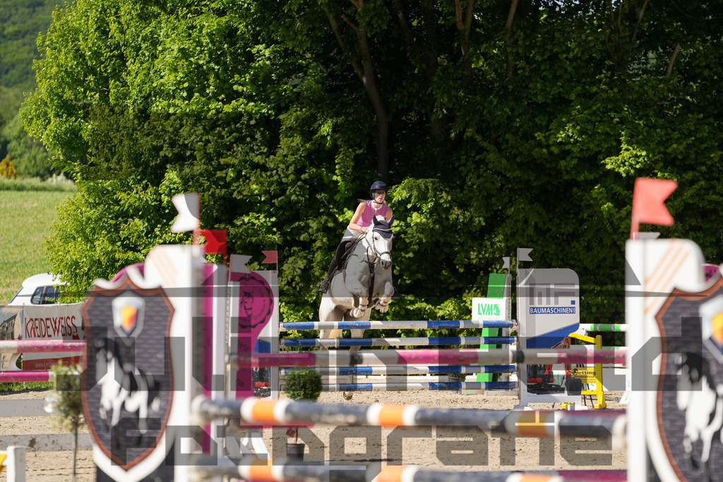 DSC02418 | Julian Held Fotografie - Realisiert mit Pictrs.com