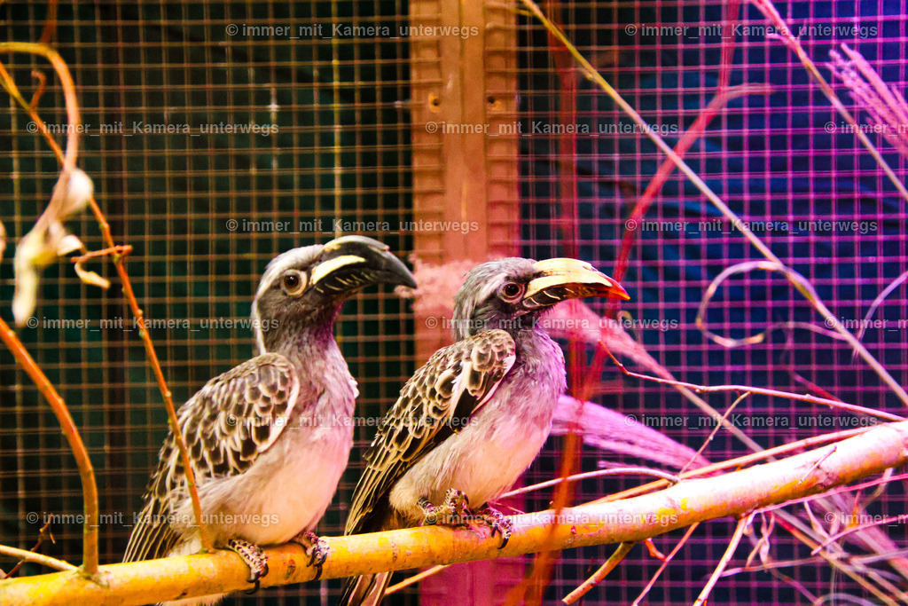 IMG_0906 | immer_mit_kamera_unterwegs