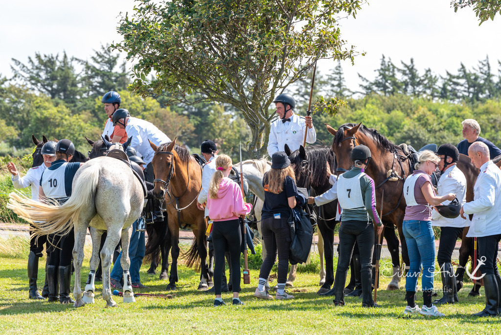 EAF_7274 | Eilun-Art-Fotografie Levke Martens, ihre Fotografin für Immobilien- und Landschaftsfotografie auf Föhr, Föhrer Motive als Poster, Leinwand, hinter Acrylglas oder stelle dir deinen eigenen Monatskalender zusammen, mit nur einem Klick