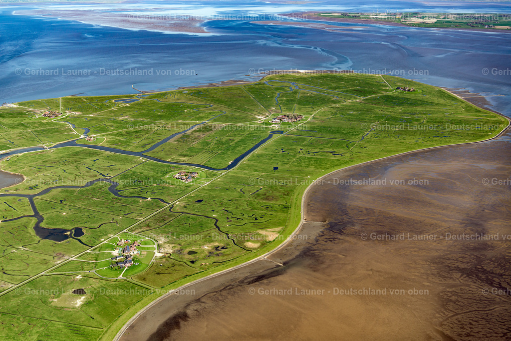 3801909 | Hallig Hooge, Nationalpark Schleswig-Holsteinisches Wattenmeer