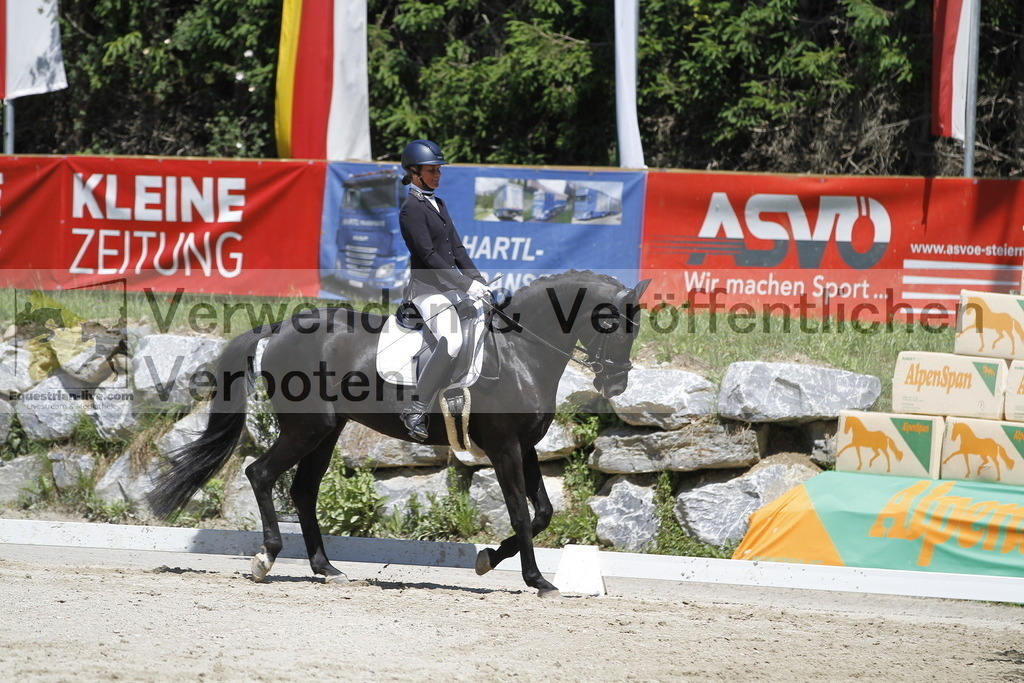 _MG_4724 | equestrian-live-com