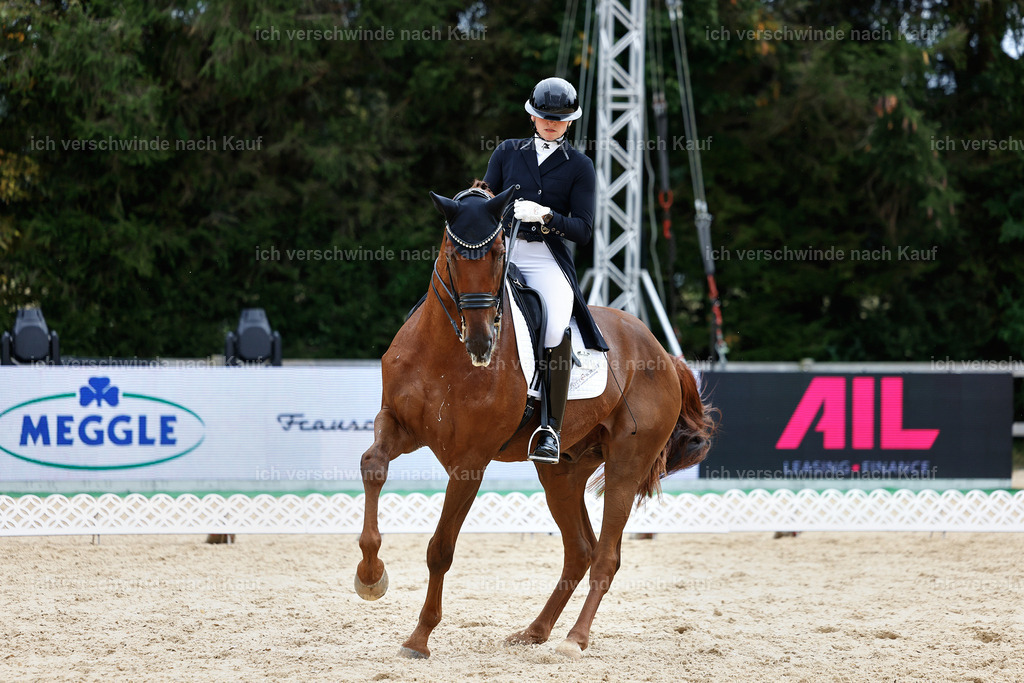 11-141-Dressur S___-Marixx-1837 | working equitationturnier fotograf videograf stoibphotography marixx film working equitation deutschland reitsport turnierfotografie eventfotografie equestrian events
