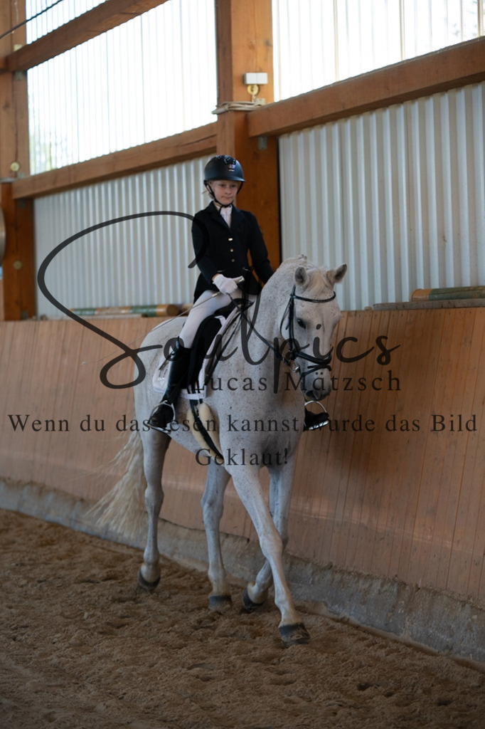 A7V01569 | Turnier/Reitfotograf