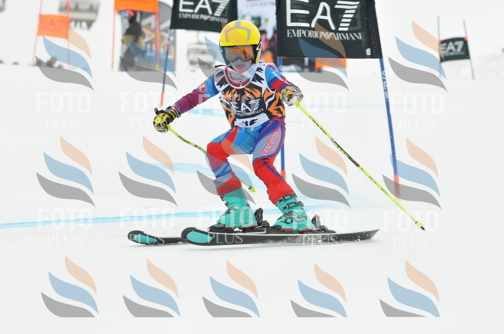 DSC_7653 | holidayphoto