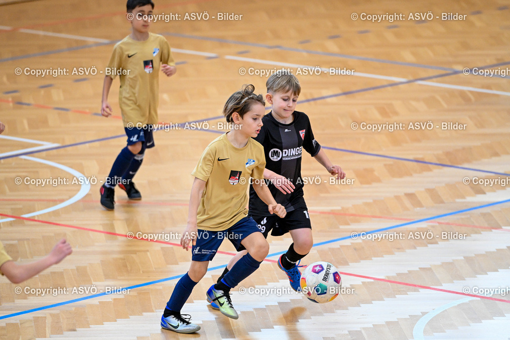ASVÖ_ Fussballturnier SV Gallneukirchen_ 09.02.2025-126 | 09.02.2025, Gallneukirchen, AUT, ASVÖ, Fussball Nachwuchs Hallenturnier 2025, SV Gallneukirchen im Bild Teilnehmer U 9©Harald Dostal / fodo.media - Realisiert mit Pictrs.com