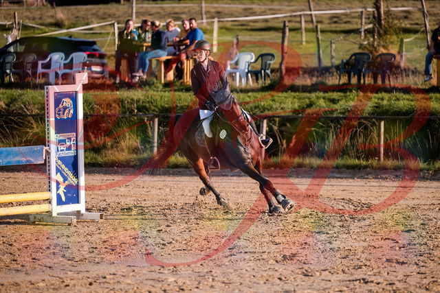 2026_10_03_Siefer-Hof_171900_Z81_16888628 | Professionelle Reitsport-, Turnier- und Eventfotografie von Robert Broda. Galerien mit ausgewählten und bearbeiteten Bildern direkt online ansehen und bestellen.