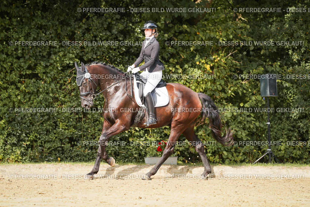 DSC03196 | Pferdegrafie