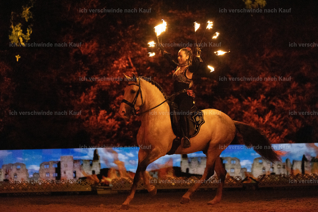 FHClassics-369 | working equitationturnier fotograf videograf stoibphotography marixx film working equitation deutschland reitsport turnierfotografie eventfotografie equestrian events