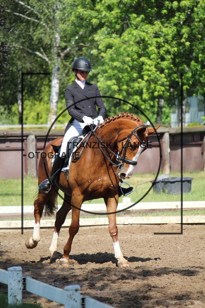 IMG_7149 | franziskalange - Realisiert mit Pictrs.com