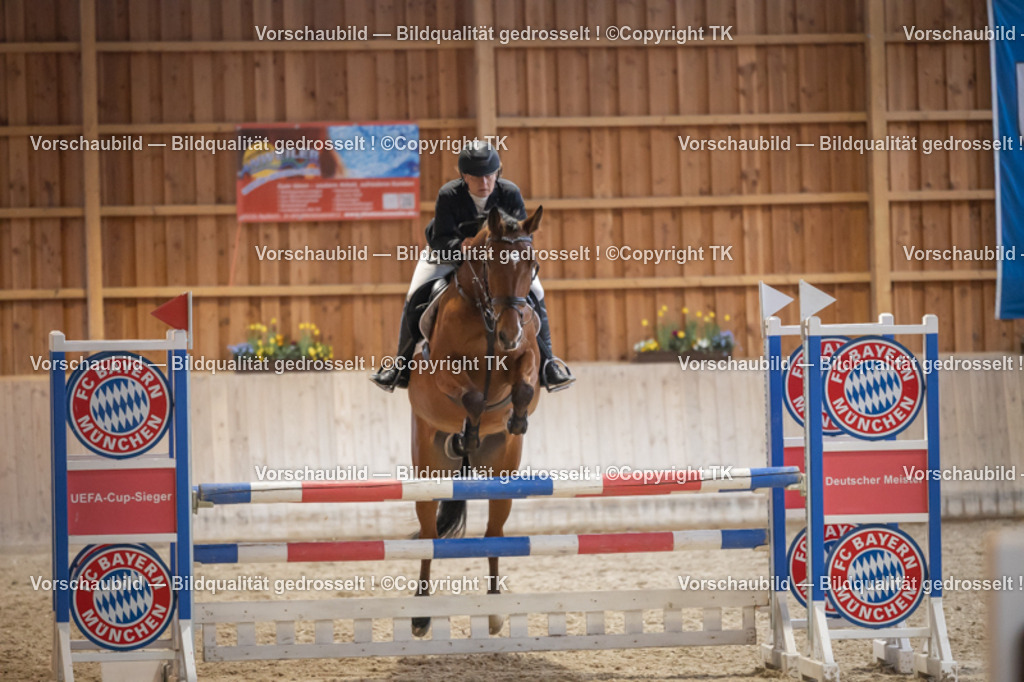 _D5A8640 | Emotionale Pferde- & People-Fotografie rund um Heidelberg, Leimen & Umgebung. Natürliche Fotos von Pferd, Mensch & Familie. Jetzt Termin sichern!