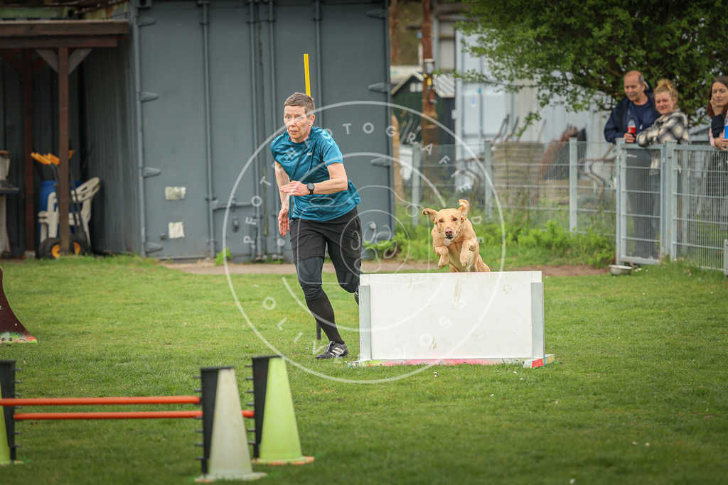 Pfotenfotografie_0L8A0570 | Hundefotografie, Tierfotograf, Pfotenfotografie, Fotoshooting Hund, Hunde Portrait, Hundesport, Hundeportraits, Heideshooting, Hunde, Sportfotograf, Hundefotograf, Turnierhundsport, THS,  - Realisiert mit Pictrs.com