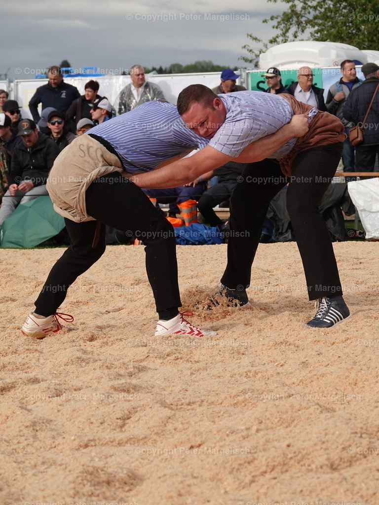 DSC06290 | Schwingen - Realisiert mit Pictrs.com