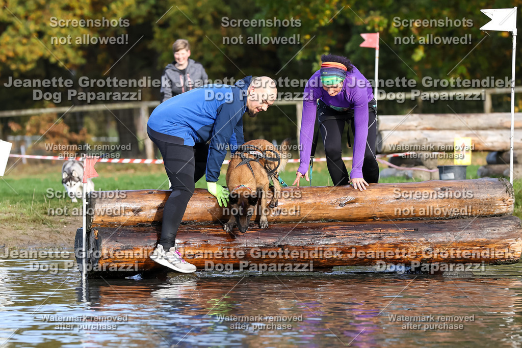 Dog Paparazzi - Strongdog 10-25-8341 | Dog Paparazzi Jeanette Grottendiek Fotografie & Videografie - Realisiert mit Pictrs.com