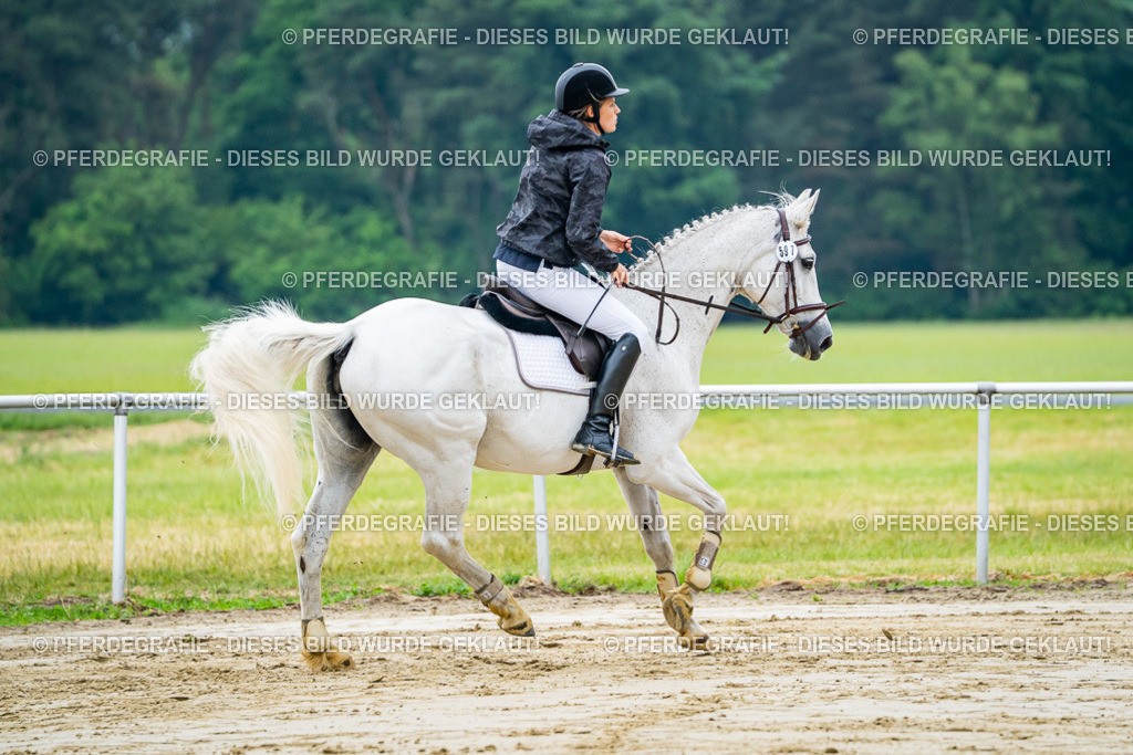 DSC02374 | Pferdegrafie