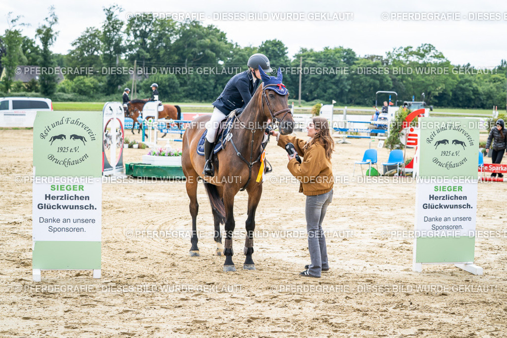 DSC05568 | Pferdegrafie