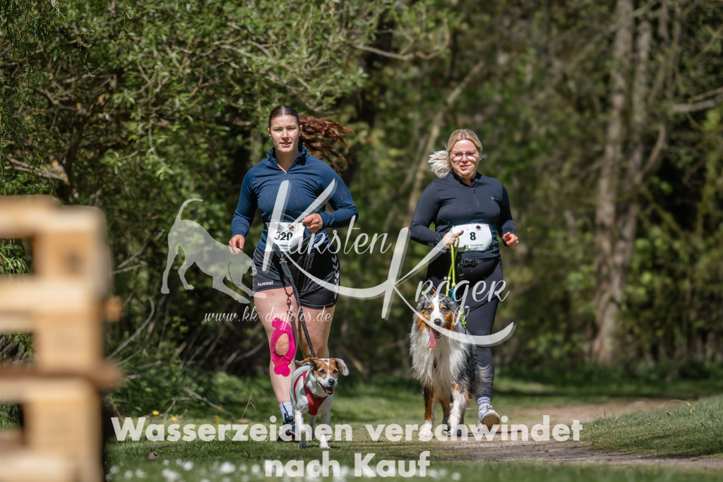 1253DZ6_5114 | kk-dogfotos