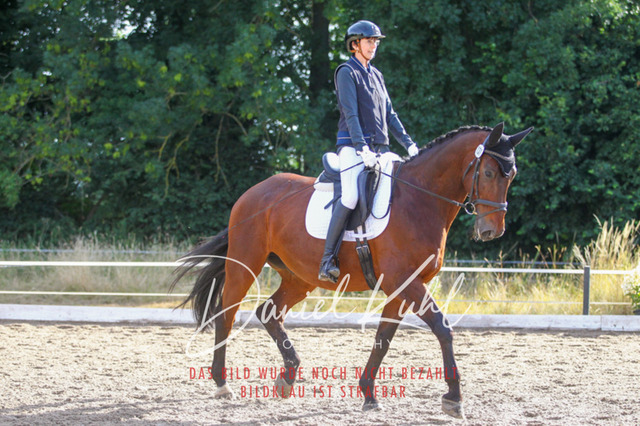 DKP45460 | Turniersportfotografie; Pferdefotografie; Dressurfotografie