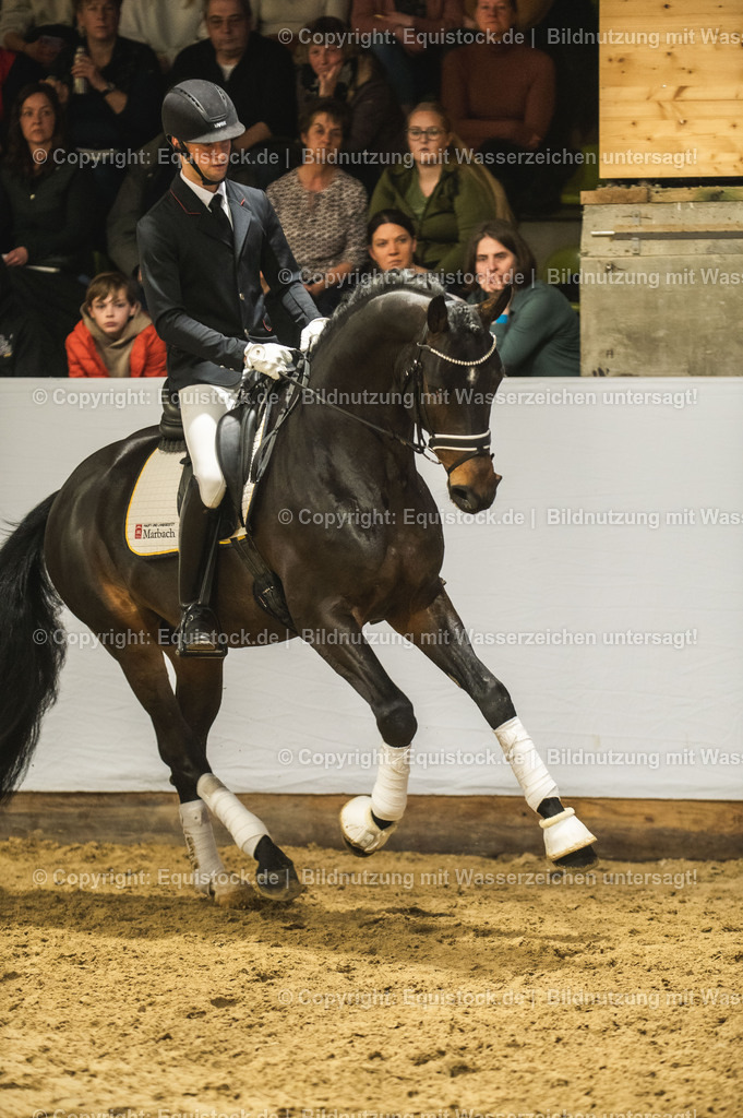 20240302_Hengstvorstellung_Marbach_TOMsPiC_0400 | equistock