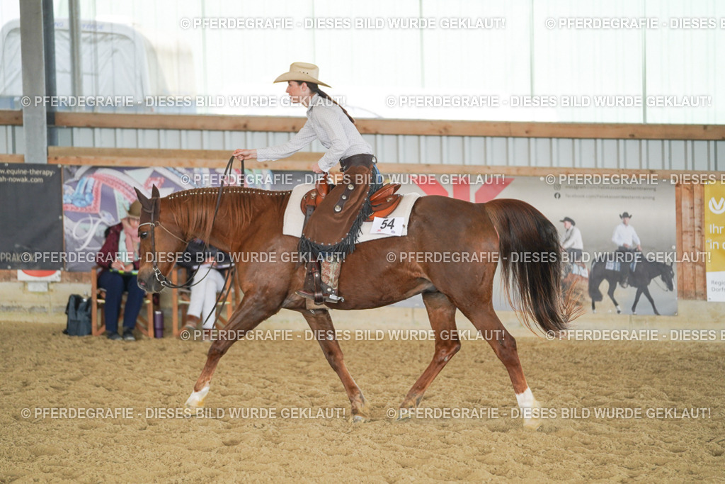 DSC01364 | Pferdegrafie