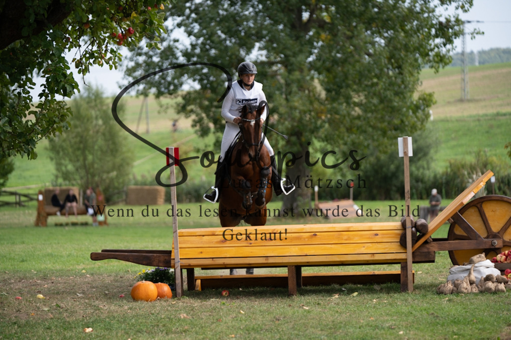 A7V03763 | Pferdefotograf