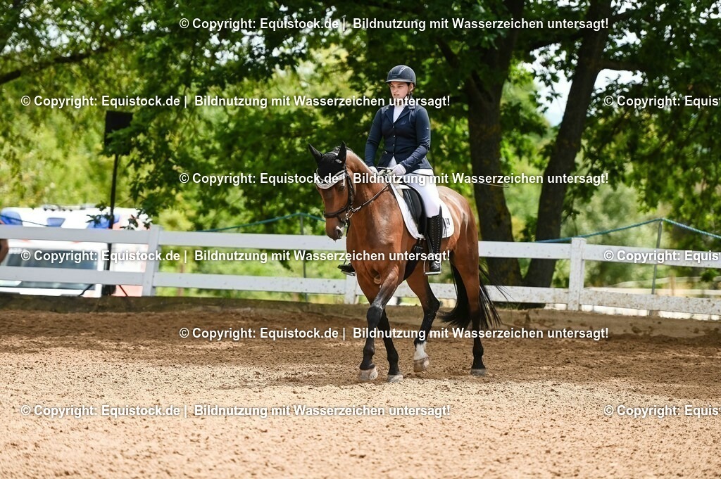 20230716_03_Dressurprfg. Kl.L - Tr._0648 | equistock