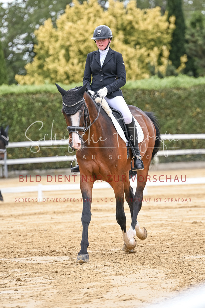 Schugtsche-Aluta25-42.EDressur -174 | Schugtsche Fotografie - Realisiert mit Pictrs.com