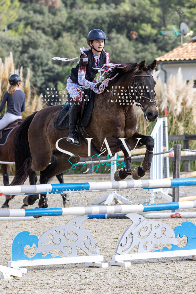 IMG_3493 | s-jay-photography - Realisiert mit Pictrs.com