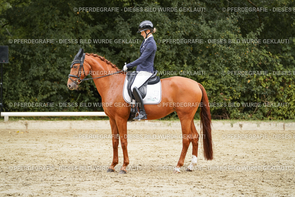 DSC09883 | Pferdegrafie