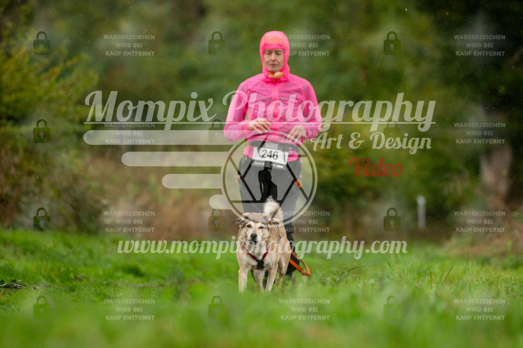 TSB_2023_E6_Canicross-224 | PayLife