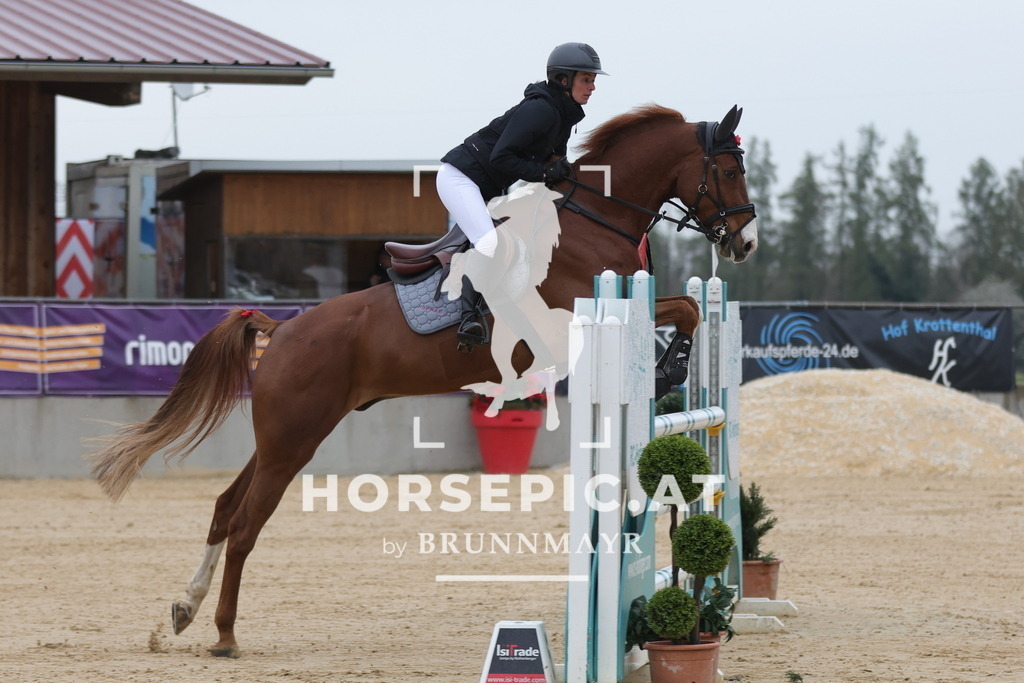 0P6A6650 | Willkommen bei Brunnmayr - Design & Fotografie – Ihrem Spezialisten für Reitturniere und Pferdeveranstaltungen in Oberösterreich, Salzburg und Bayern! Seit über 17 Jahren sind wir leidenschaftlich dabei.