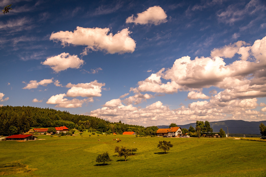 mtb130626-34 | <div id="allefotografen-seal-verified-green"></div><script src="https://www.allefotografen.de/956728/seal-verified-green/seal.js" async="async"></script> - Realisiert mit Pictrs.com