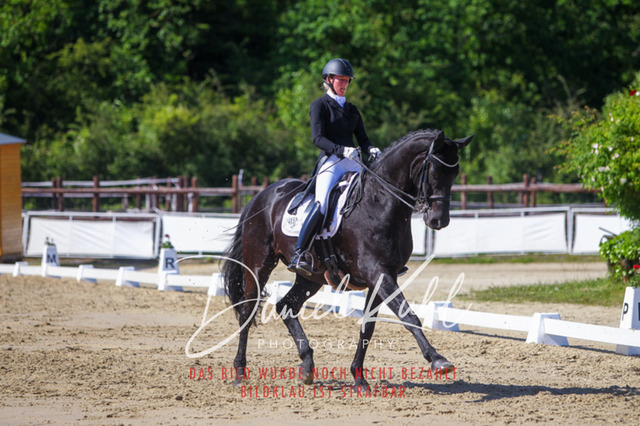 DKP42528 | Turniersportfotografie; Pferdefotografie; Dressurfotografie