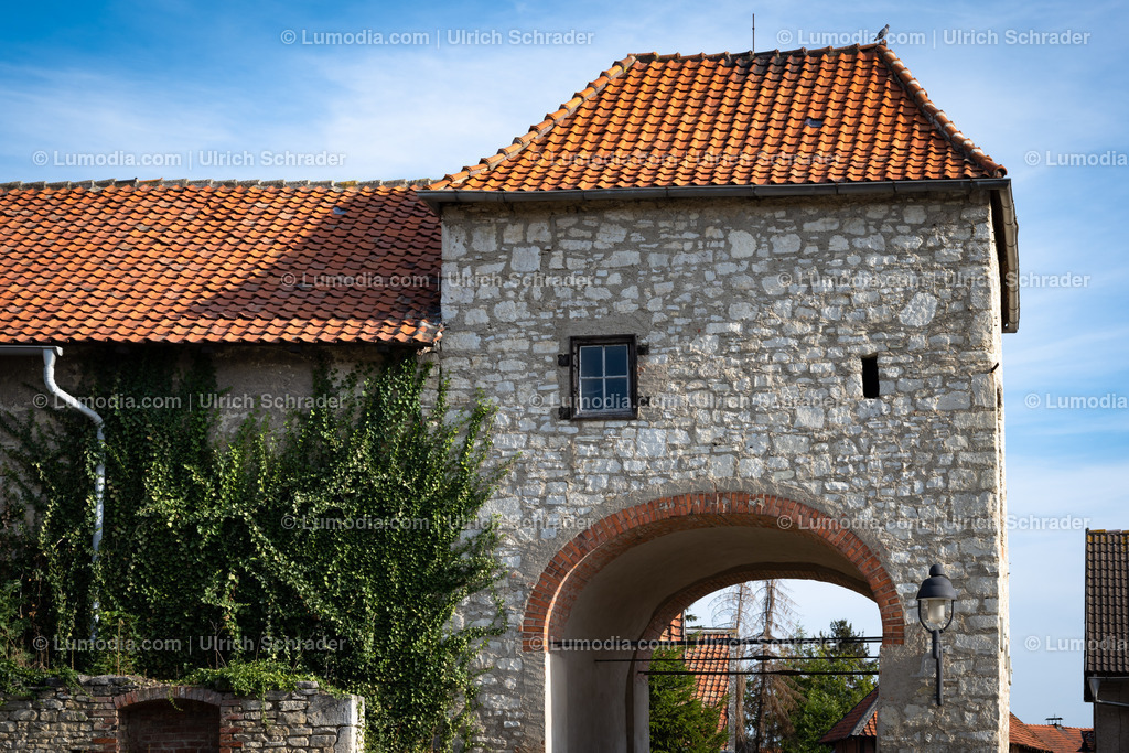 10049-12560 - Badersleben am Huy | Stockfoto und Bilderpool mit Bildmaterial aus Deutschland, dem Harz, Halberstadt, Quedlinburg, Wernigerode und weltweit. Qualitativ hochwertige und professionelle Fotos anschauen und kaufen. - Realisiert mit Pictrs.com