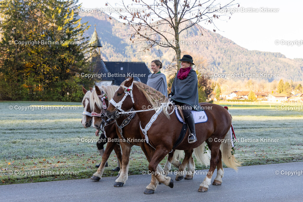 LL24-111 | foto-bettina-krinner - Realisiert mit Pictrs.com