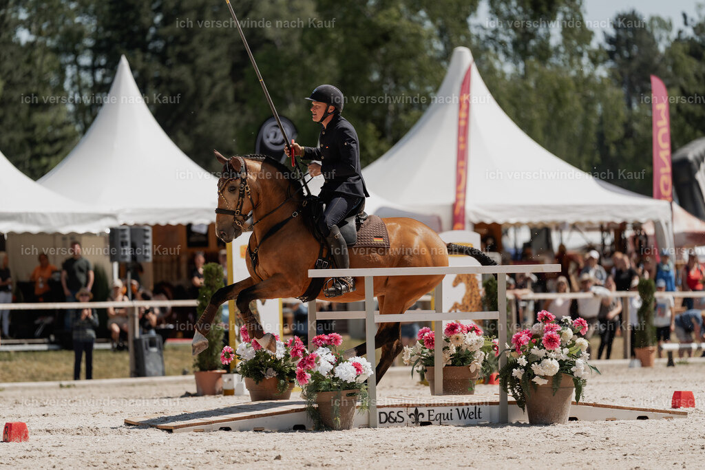 WE_SP_Stoib_311_PI2025_1676 | Pferd International München 2025