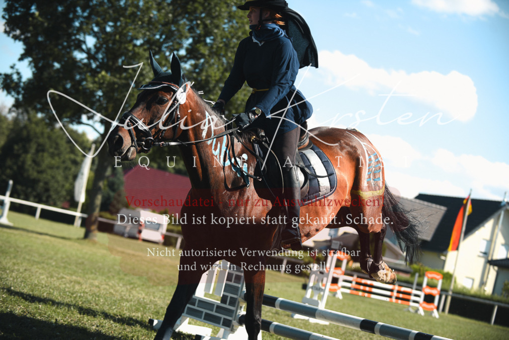 DSC_7580 | Pferde- und Turnierfotografie in Westsachsen. Pferdeportraits, Auftragszeichnungen und intuitive Kunst.