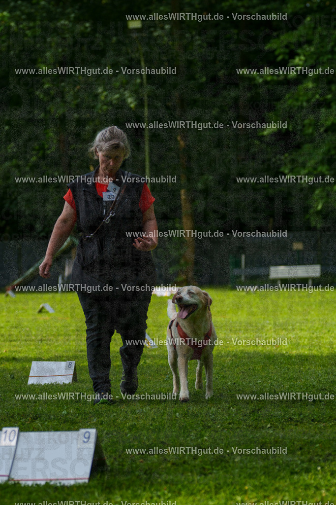 @allesWIRTHgut_Tierfotografie - www.allesWIRTHgut.de - 7R502233 | Professionelle Tierfotografie in Mönchengladbach von Daniel Wirth (allesWIRTHgut). Liebevolle & natürliche Bilder von Hunden & Katzen für unvergessliche Erinnerungen.