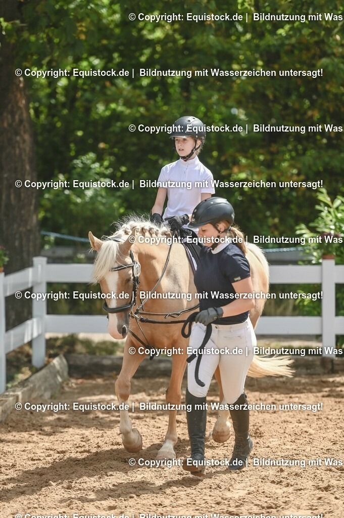 20230716_11_Führzügel-WB_0082 | equistock