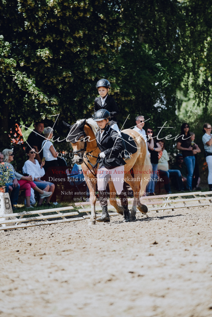 DSC_2524 | Pferde- und Turnierfotografie in Westsachsen. Pferdeportraits, Auftragszeichnungen und intuitive Kunst.
