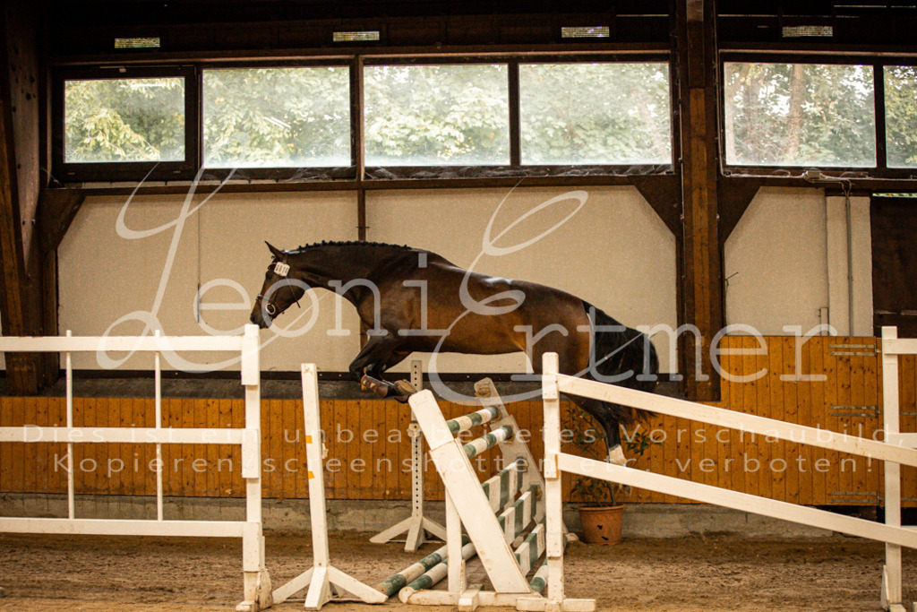 2FS_L00010 | Leoni Ertmer Photography - Realisiert mit Pictrs.com