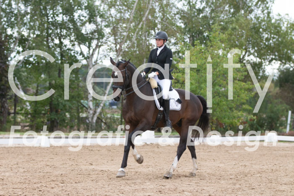 IMG_7077 | Creatify Fotografie